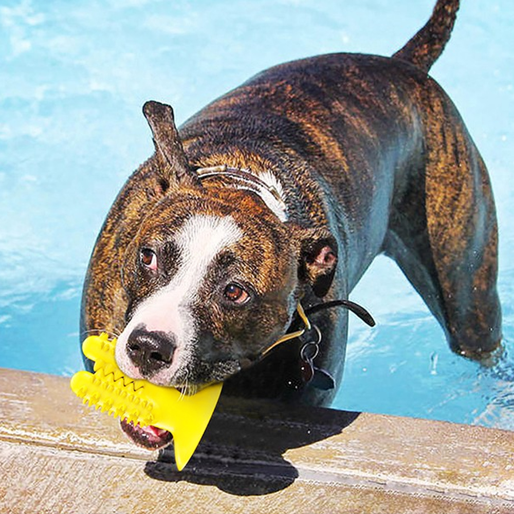 부가이미지 썸네일