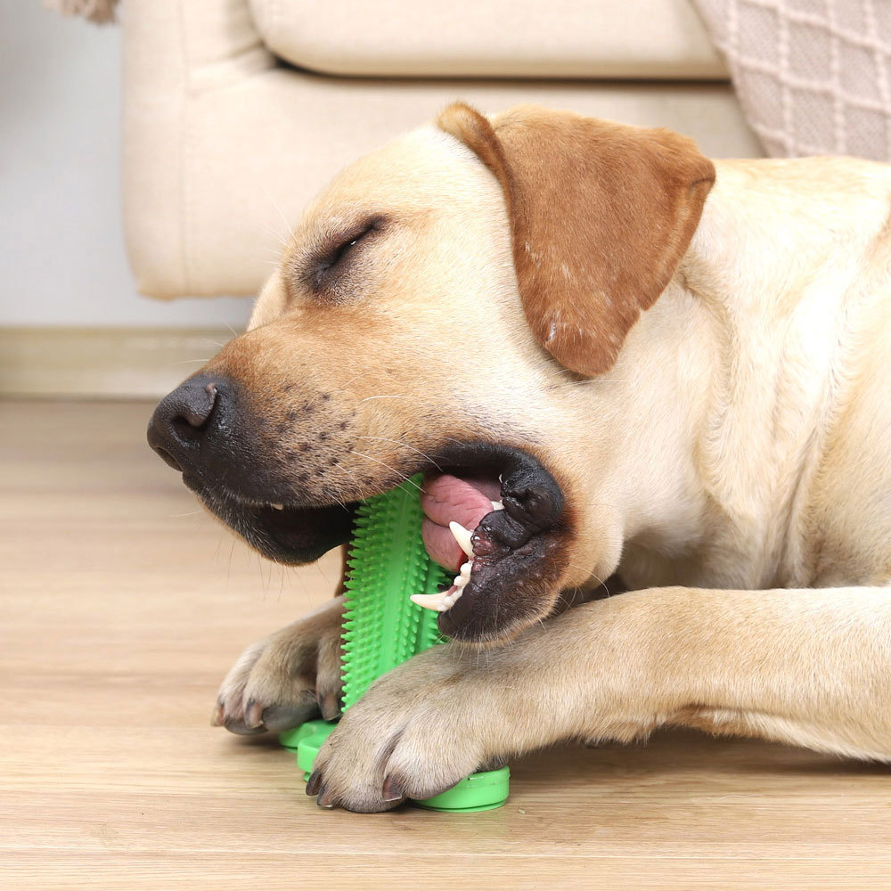 부가이미지 썸네일